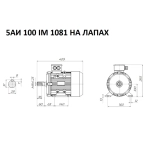 Электродвигатель трехфазный 5АИ 100 S2 IM 1081 4 кВт/3000 об.мин