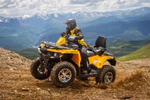 Квадроцикл СТЕЛС ATV 650 Guepard Trophy EPS