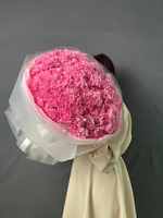 Стильный букет из 101 диантуса