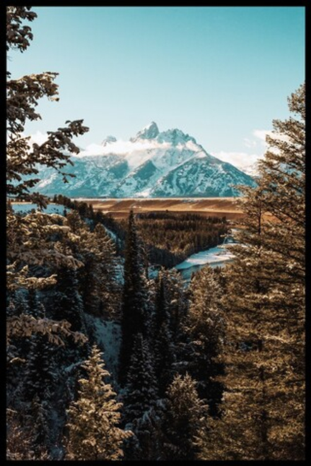 Интерьерная картина в технике цифровой печати. АРТ 100 Природа