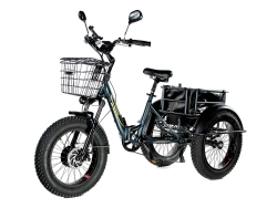 Электрический трицикл фэтбайк E-motions Panda 20 (750W 15Ah)