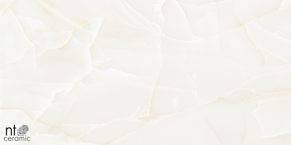 NT CERAMIC. Керамогранит Onyx Predo NTT99504P 600*1200 полированная