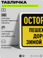 Табличка для обеспечения безопасности "Осторожно, пешеходные дорожки зимой во льду", для офиса, по охране труда для предприятия, организаций, 40х30 см, Silver Plane x Айдентика Технолоджи