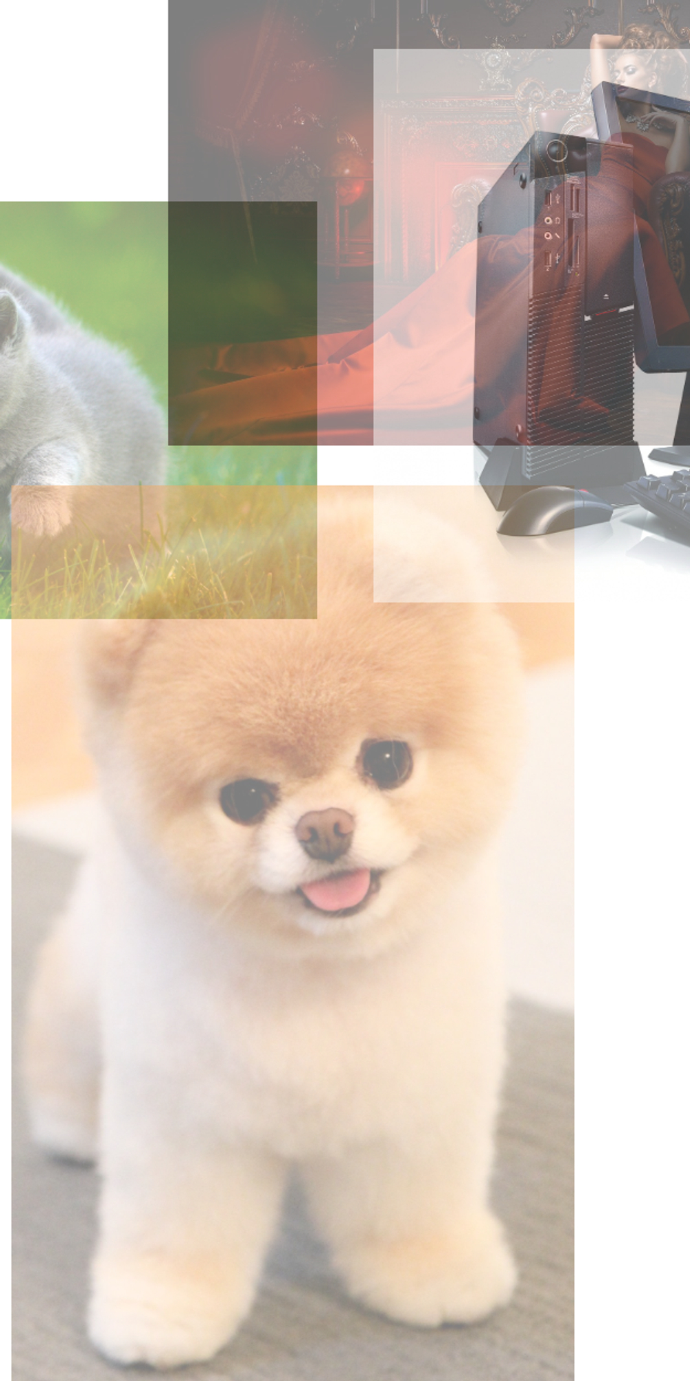 Товар с вариантами и опциями