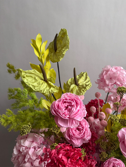 Композиция в кашпо Хасмантиум