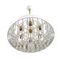Люстра Lumion MITRIM 8374/6