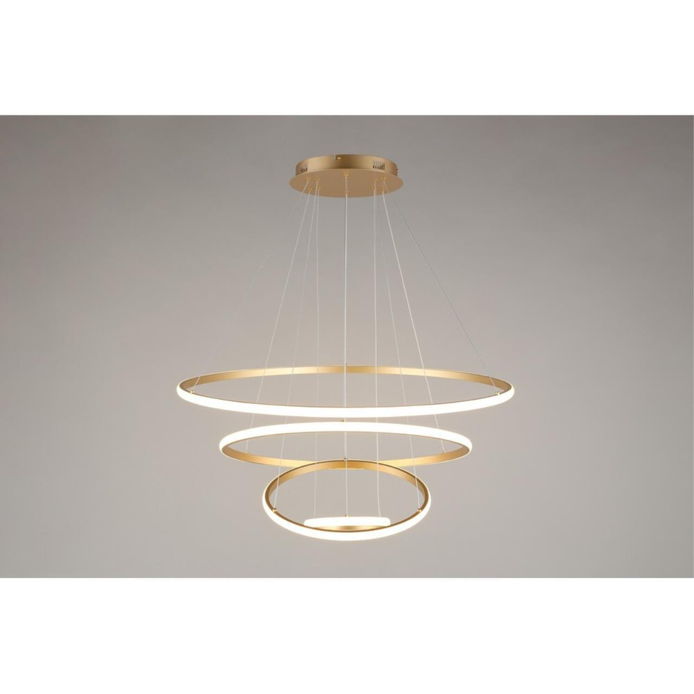 Подвесная светодиодная люстра Aployt Janina APL.018.13.100