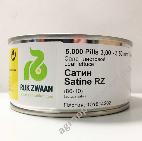 САТИН семена салата (Rijk Zwaan | Alexagro) – фото 11