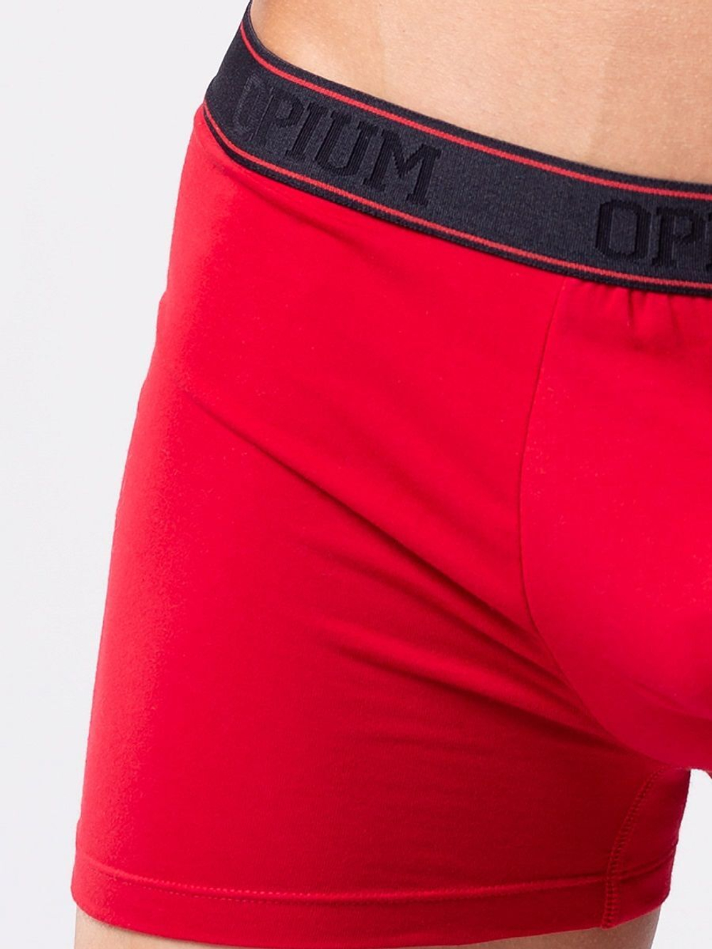 Мужские боксеры из мягкого хлопкового трикотажа (Размер: XXL) (Цвет: серый)