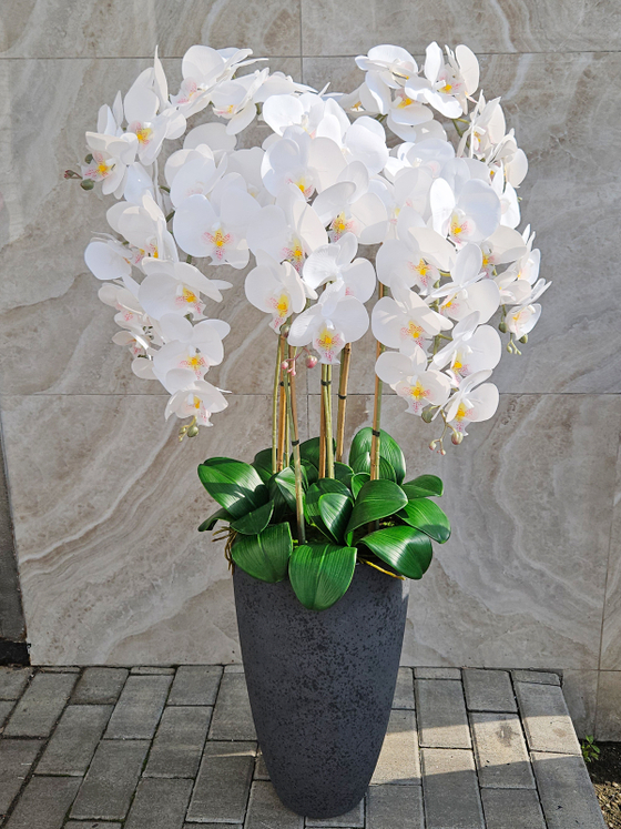 Искусственные Орхидеи белые люкс 7 веток 120см в кашпо Лофт