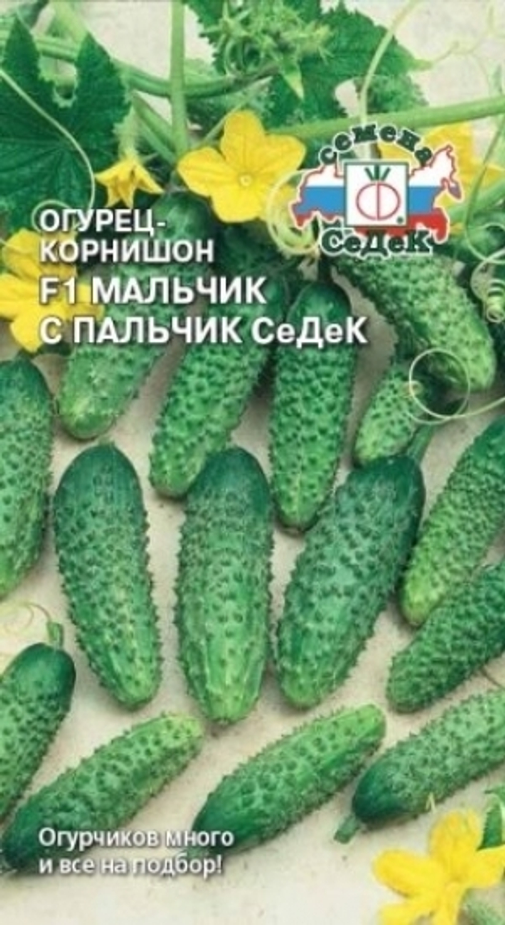 Огурец Мальчик с пальчик F1 (СеДеК) 0,2г