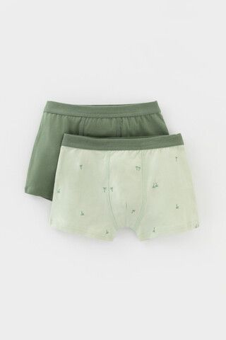 трусы/ уп  для мальчика  К 1980-2уп/папоротник,морская пена