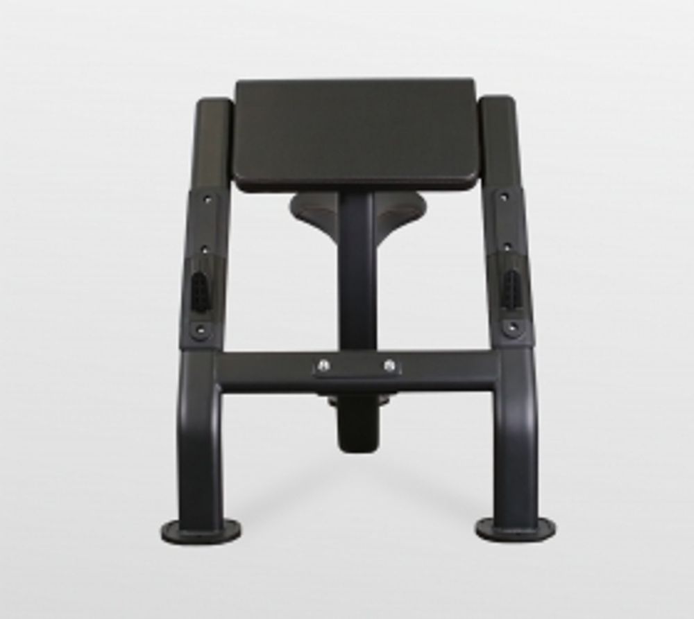 Скамья Скотта Bronze Gym BR-1007