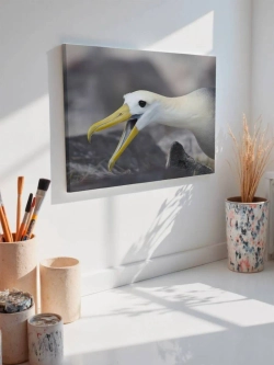 Картина на стену 40 X 50 Чайка