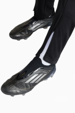 Штаны adidas Entrada 26 Training Junior - черный