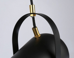 Подвесной светильник Ambrella Light TR TR8206