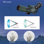 Зрительная труба SVBONY SV406P 20–60x80 ED WP