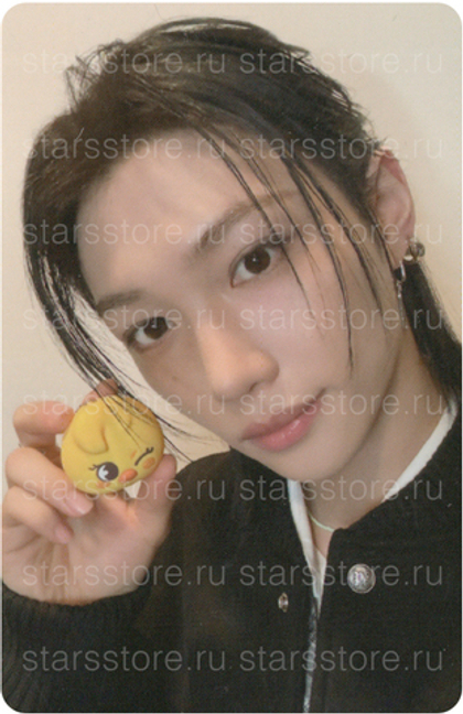 Фотокарта Felix STRAY KIDS - SKZOO TAMAGOTCHI