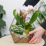 Готовый флорариум с сиреневой орхидеей Икос