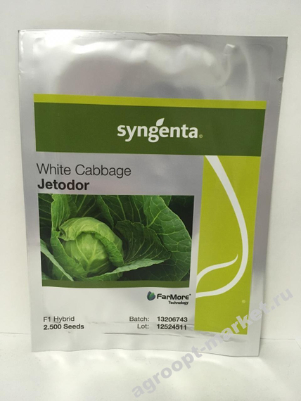 ДЖЕТОДОР F1 семена капусты белокочанной (Syngenta | Alexagro) – фото 2