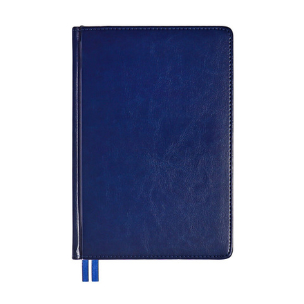 9606266 Ежедневник 2024г. "Небраска" серебр.