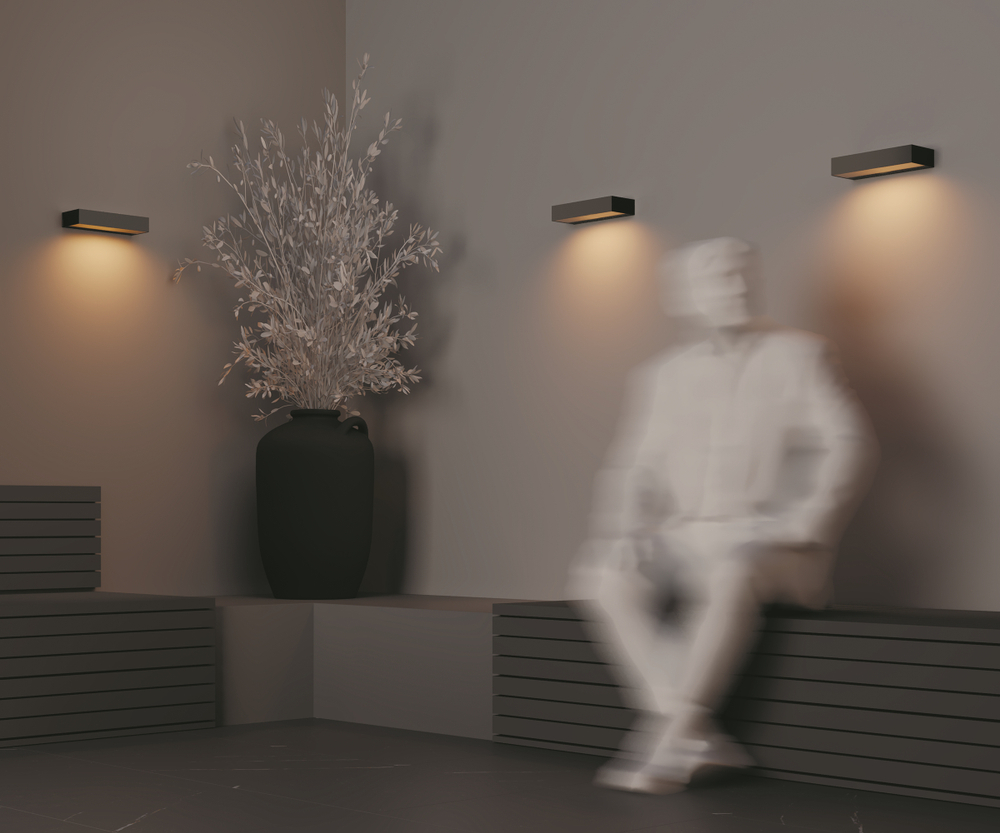 Уличный настенный светильник Outdoor O428WL-L10GF3K