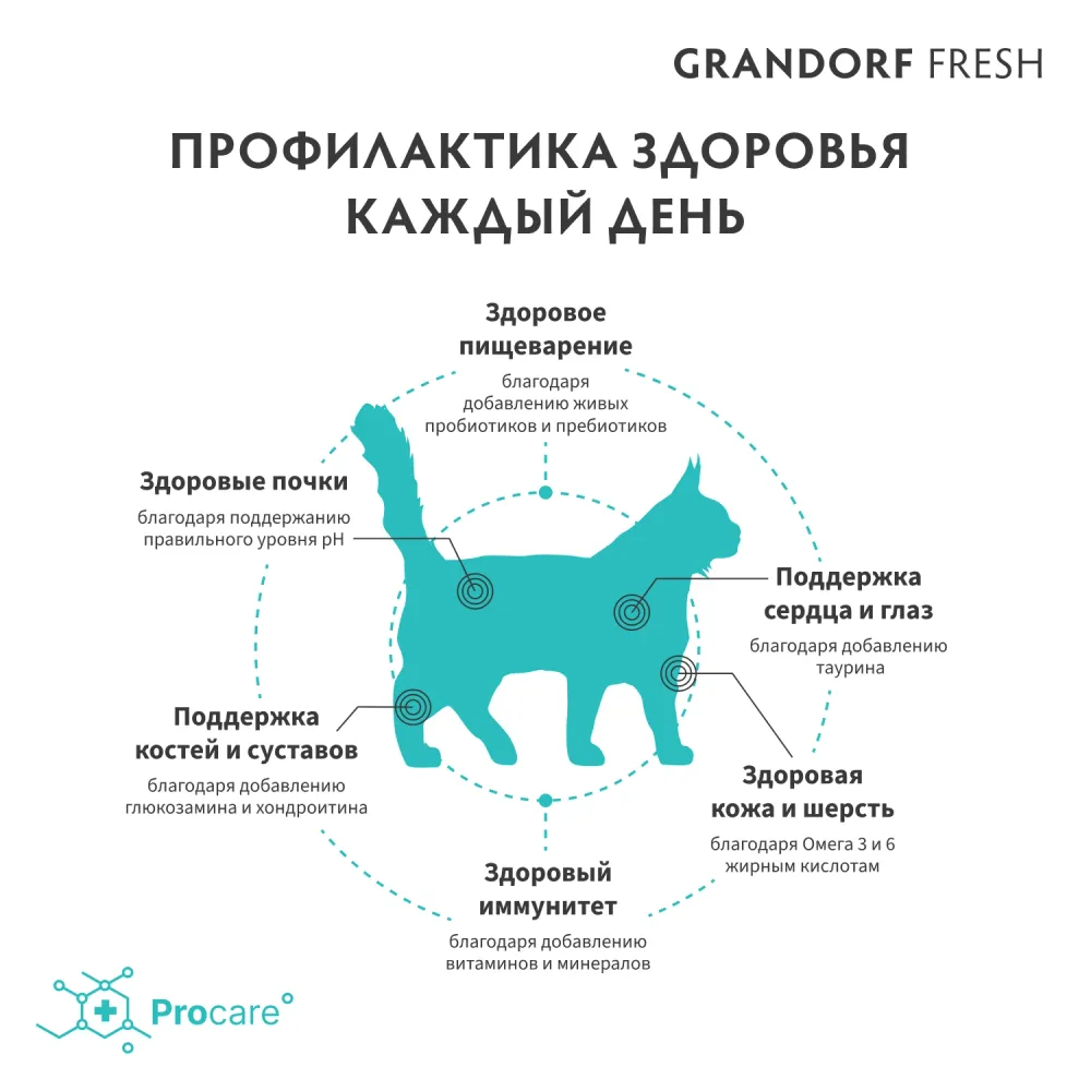 Сухой корм GRANDORF Fresh Cat LARGE Lamb&Sweet Potato для крупных кошек из свежего мяса ягненка с бататом