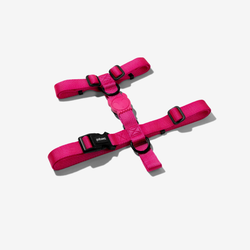 Шлейка PINK LED Zee.Dog