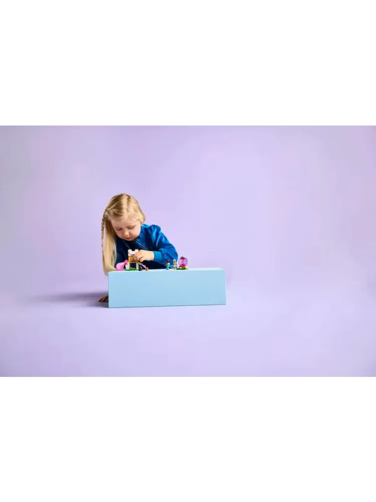 Конструктор Friends 42665 Площадка для щенков