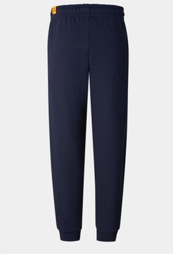 Брюки BOGNER FIRE+ICE FADI2 в синем цвете