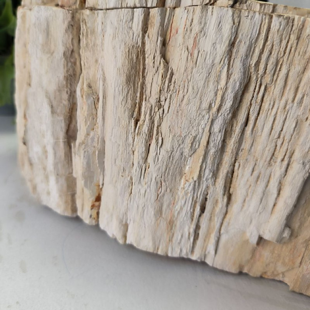 Раковина из окаменелого дерева Fossil Basin OD-02348 56*40*16 см