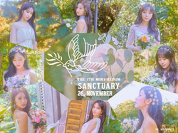 Альбом Lovelyz - Sanctuary 5th Mini LIMITED Edition