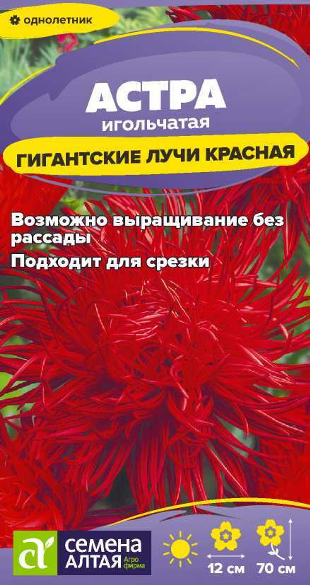 Астра Гигантские лучи Красная 0,2г Семена Алтая