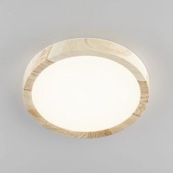 Citilux Бейсик CL738122N LED Светильник накладной Клён