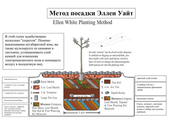 Метод посадки растений Эллен Уайт