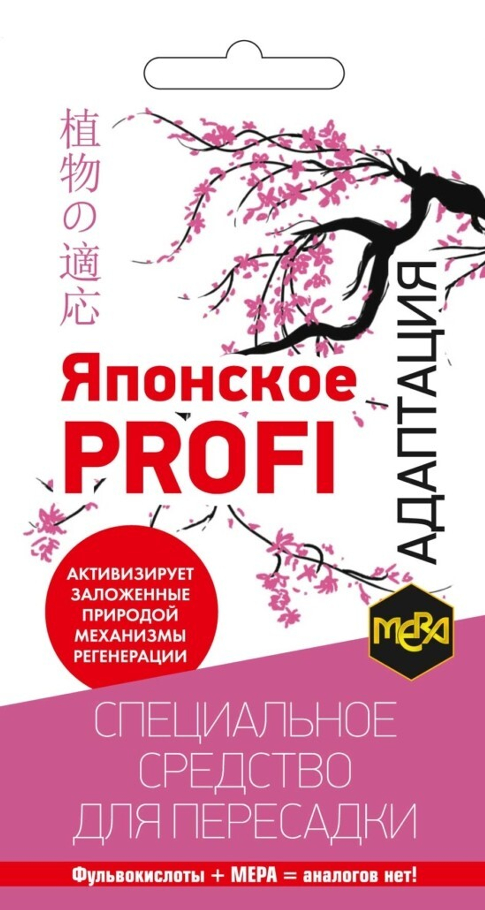yaponskoe_profi_muzsemcv-09-03-ru1-549x1030