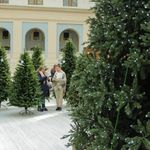 Большая елка «Сказочная Светодинамическая» (литая+пвх) от 3 м до 8 м