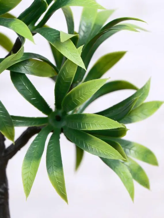 Бонсай в горшке "Деревце яркое" 10х20 см, микс