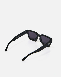 Очки Anteater Президент Черный