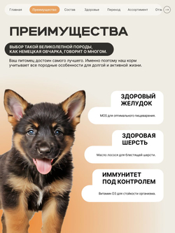 Корм сухой для щенков породы Немецкая овчарка, с индейкой, 12 кг, QUATTRO