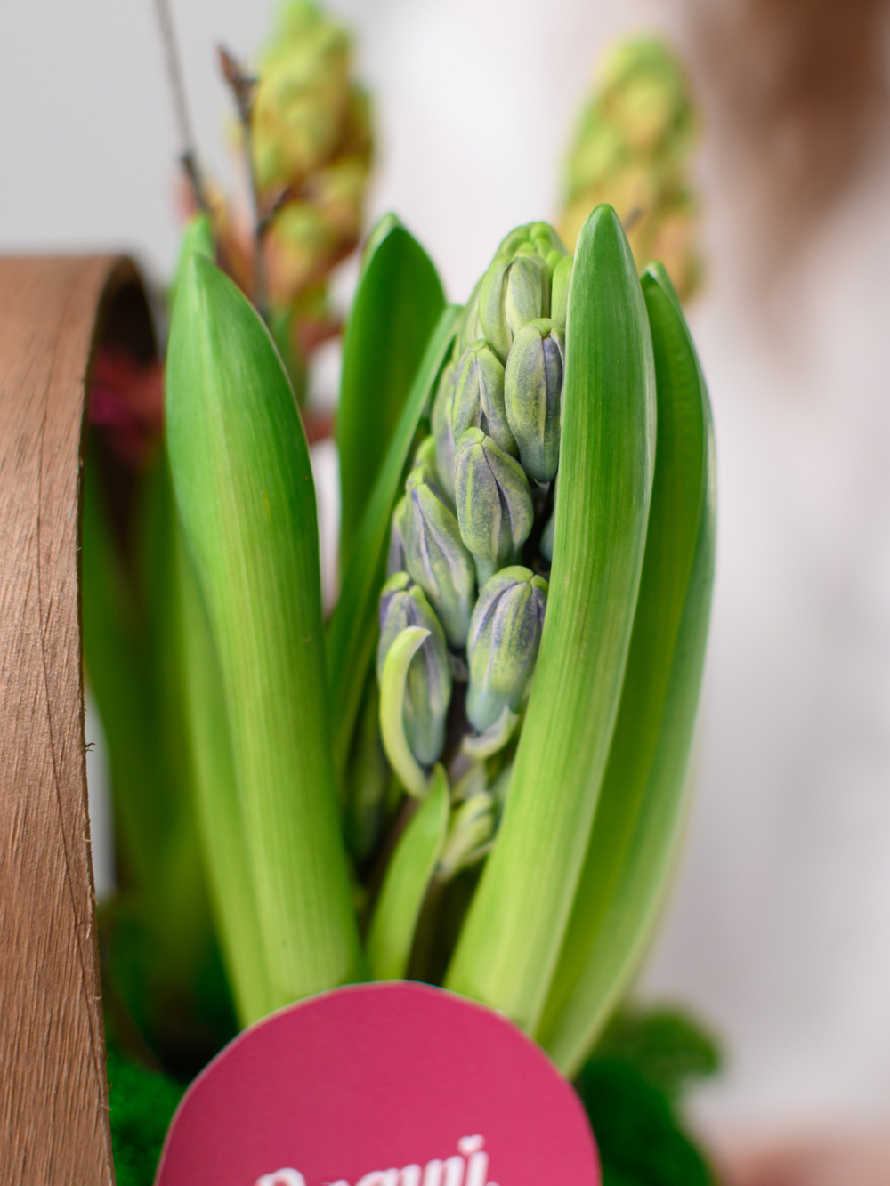 Аромат весны