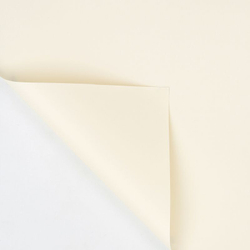 ЛИСТ 58*58/20шт СВЕТЛЫЙ №1