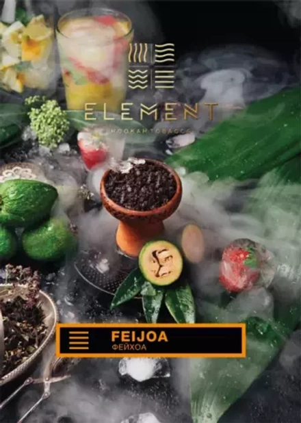 Element Earth - Feijoa (25g)