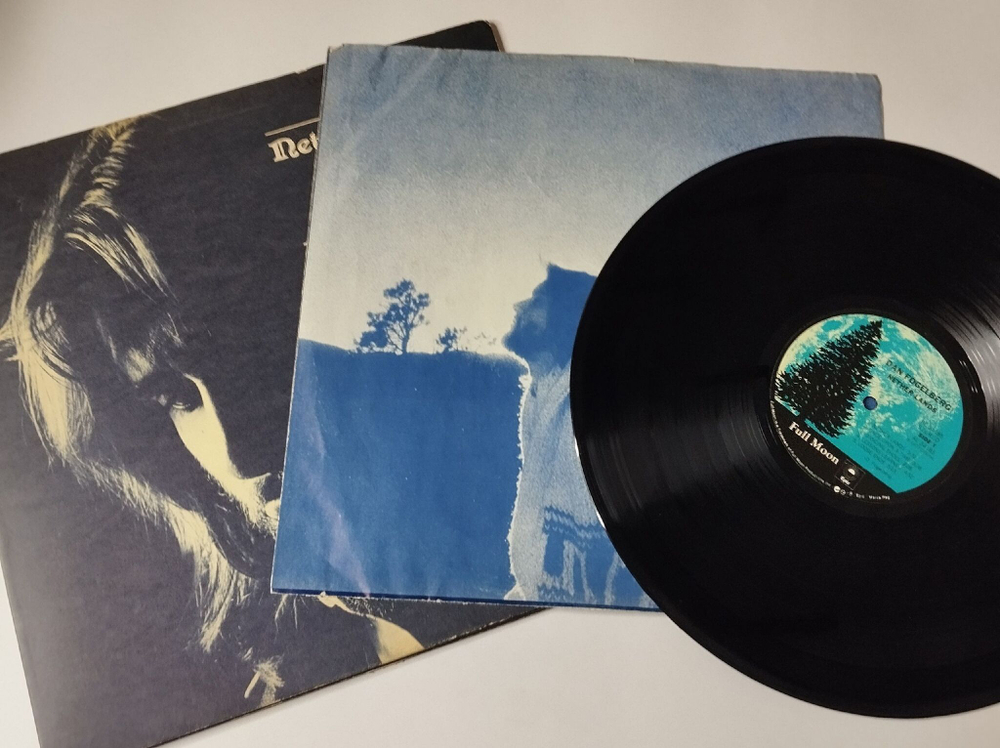 Винтажная виниловая пластинка LP Dan Fogelberg Nether Lands (USA 1979) Once Upon A Time