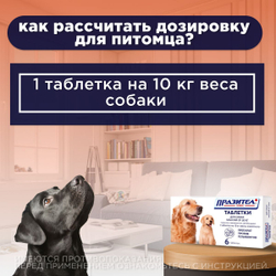 Таблетки от гельминтов для собак более 20кг Празител Плюс, 6 таб. Празиквантел/Пирантел/Фенбендазол