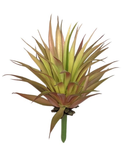 Суккулент 110 зелено-желтый