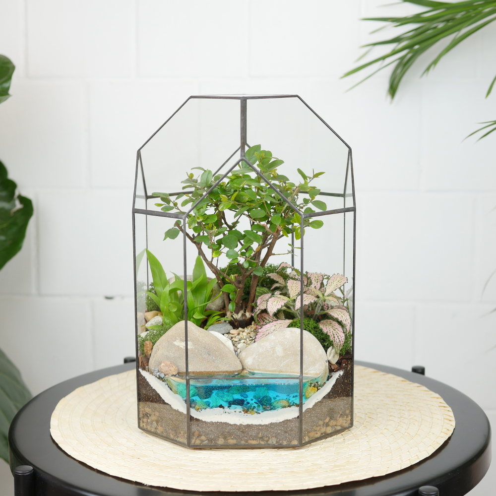 Готовый флорариум бонсай Сагереция Бонсариум с озером