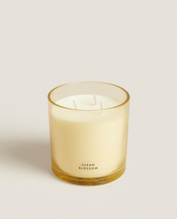 Zara Home - Ароматическая свеча clean blossom, 400 г