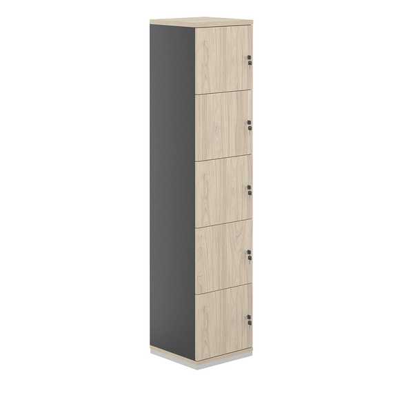 Локер Аллегро 5 яч 400х400х1833 AG.232