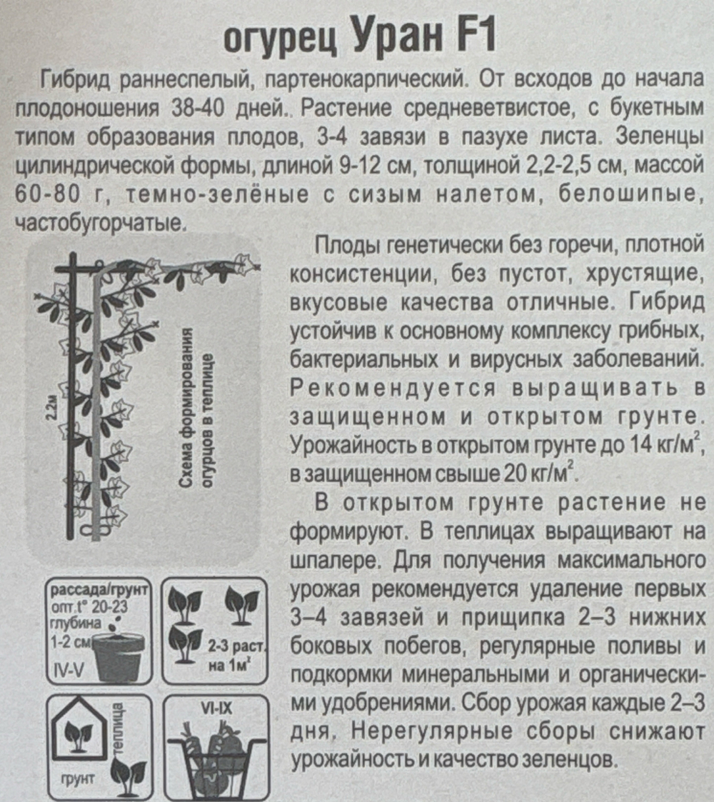 Огурец Уран F1 5 шт СМО48